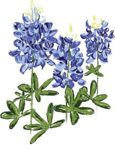 Bluebonnets