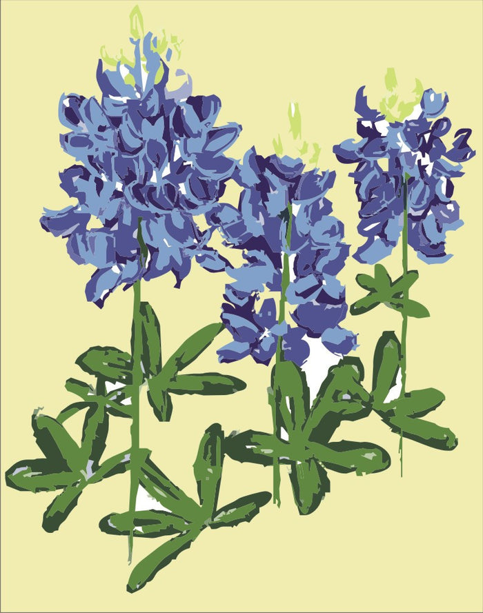 Bluebonnets