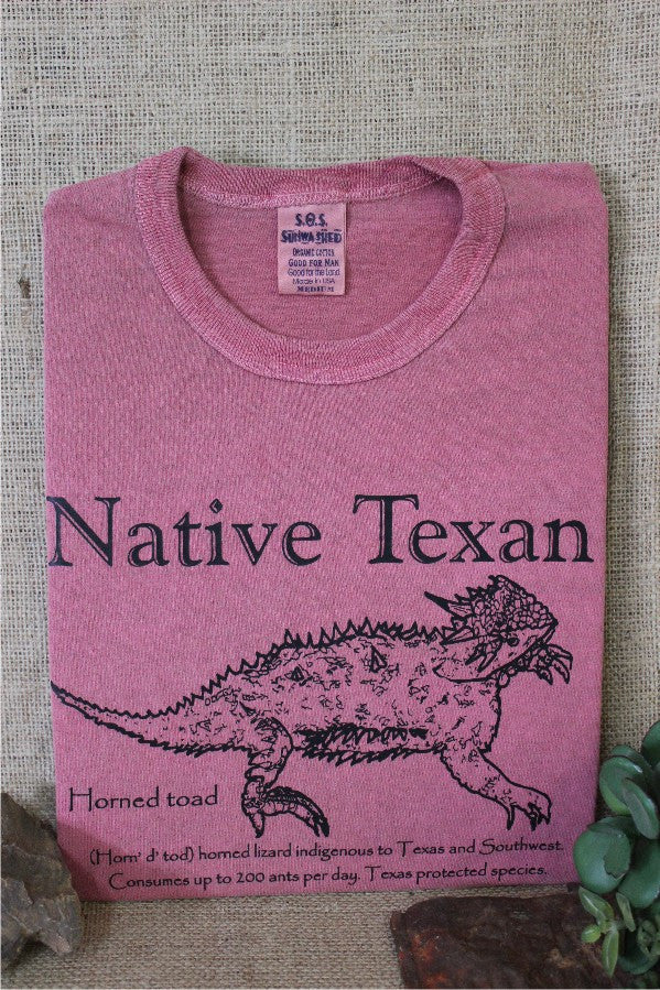 Native Texan Horned Toad