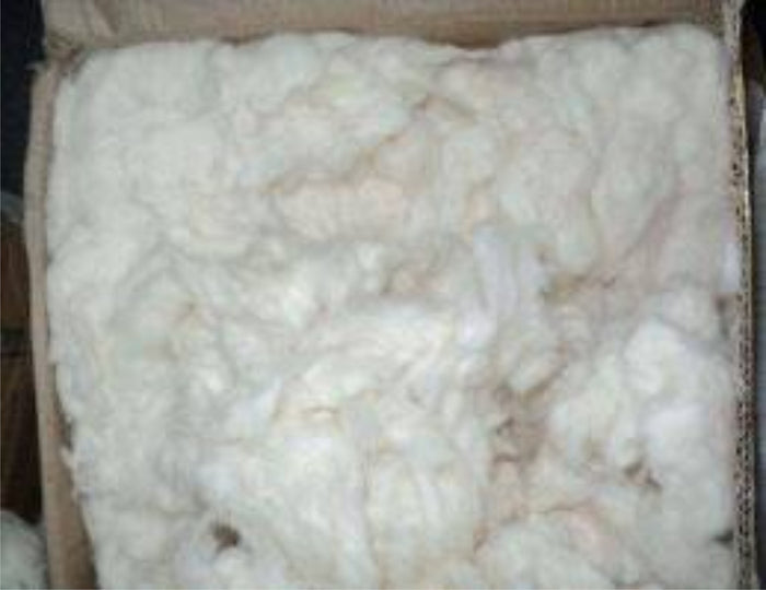 Organic Cotton Fiber 5 pounds
