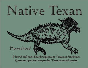 Native Texan Horned Toad (wholesale)