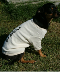 Organic cotton doggie t-shirt(wholesale)